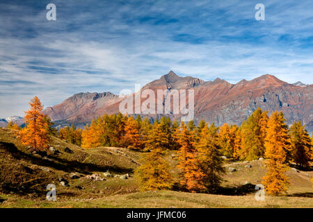 Orsiera Rocciavre Park, Susa Valley, Turin, Piedmont, Italy, Autumn Orsiera Rocciavre Park Stock Photo