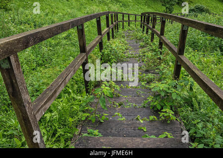 Natural Science, An old staircase leading down Stock Photo