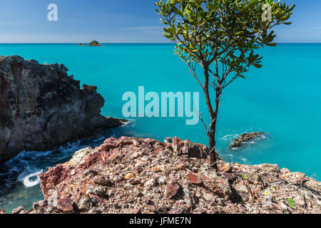Cliffs and tree overlook the turquoise caribbean sea Spearn Bay Antigua and Barbuda Leeward Islands West Indies Stock Photo