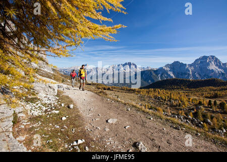 Hikers walk on path between yellow larches and rocky peaks in autumn Ampezzo Dolomites Belluno province Veneto Italy Europe Stock Photo