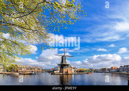 Tree branches frame the Windmill De Adriaan reflected in a canal of river Spaarne Haarlem North Holland The Netherlands Europe Stock Photo