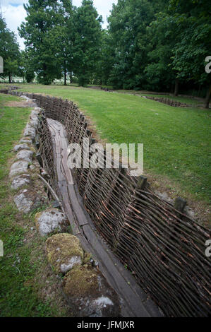 Restored German WW1 trenches at Bayernwald, nr Heuvelland (Kemmel ...