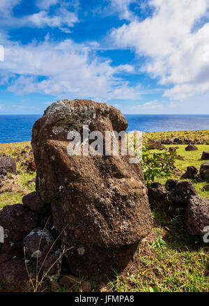 Fallen moai head at the archaeological site at Ahu Vinapu, Rapa Nui ...