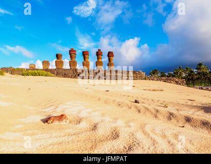 Moais in Ahu Nau Nau by the Anakena Beach, Rapa Nui National Park, Easter Island, Chile Stock Photo