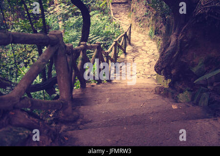 A picturesque staircase  in the jungle of Vietnam. Stock Photo