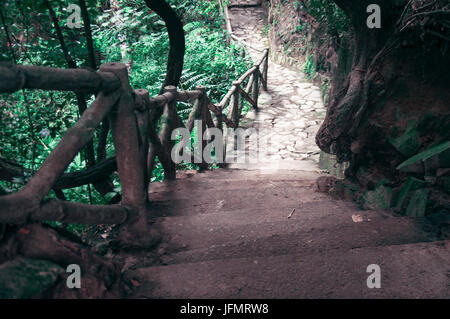 A picturesque staircase  in the jungle of Vietnam. Stock Photo