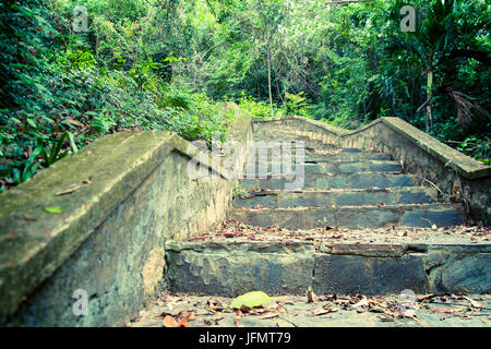 A picturesque staircase  in the jungle of Vietnam. Stock Photo