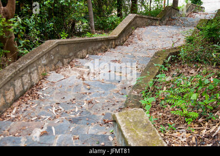 A picturesque staircase  in the jungle of Vietnam. Stock Photo