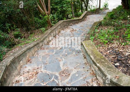 A picturesque staircase  in the jungle of Vietnam. Stock Photo