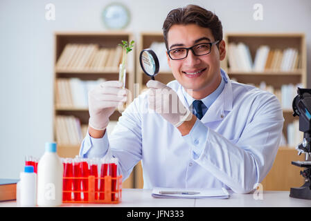 The biotechnology scientist working in the lab Stock Photo