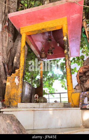 The sacred banyan tree at Jyotisar, Kurukshetra, India under which Lord Krishna delivered sermon of Bhagavad Gita to Arjuna to remove his dilemma. Stock Photo