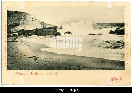 03947-La Jolla-1903-Alligator Head-Brück & Sohn Kunstverlag Stock Photo