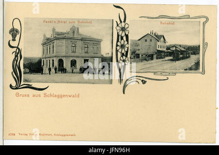 04788-Schlaggenwald-1903-Bahnhof und Hotel-Brück & Sohn Kunstverlag Stock Photo