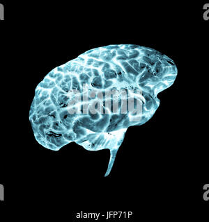 3D illustration radiograph of a human brain Stock Photo