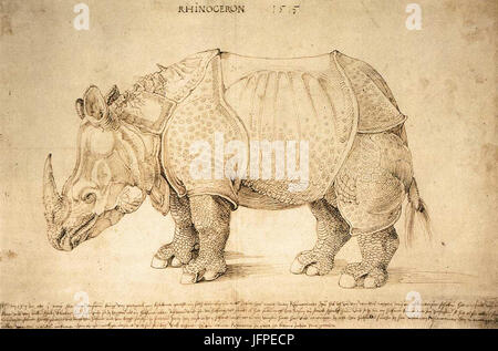 Albrecht Dürer - Rhinoceros - WGA07078 Stock Photo