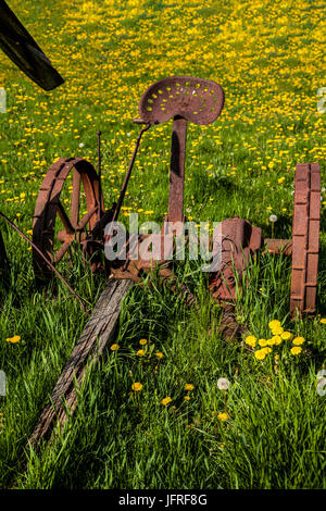 Rusted old hayrake and dandelion flowers on a farm in New Jersey, USA, US, antique tool, vertical farming images, isolated Vintage garden tools garden Stock Photo