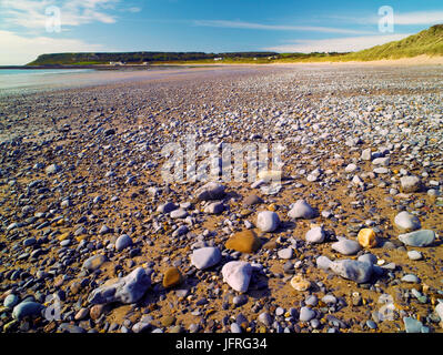 A view across the pebbled beach at Horton on the Gower Peninsula Stock Photo