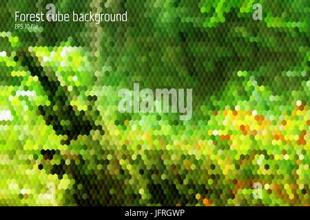 Forest geometrical backgorund with 3d hexagon and squares forms Stock Vector