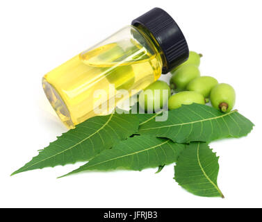 Medicinal neem leaves with essential oil over white background Stock Photo