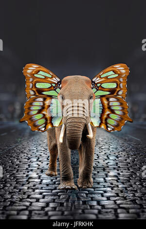 Close elephant with butterfly wings in night city Stock Photo