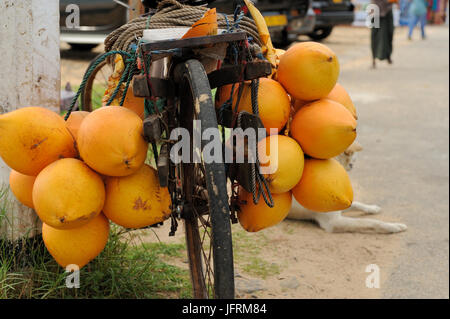 Yellow coconuts on bike Stock Photo