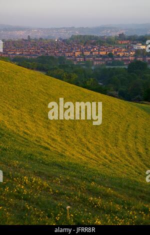View Across Exeter City over Rolling Farmland and a Buttercup Meadow. Ludwig Valley Park, Exeter, devon, UK. May, 2017. Stock Photo
