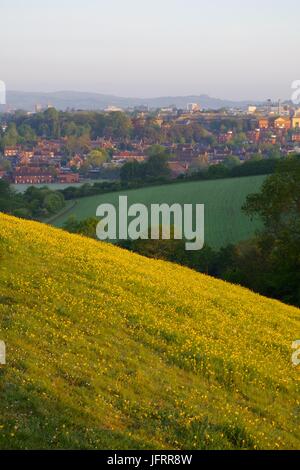 View Across Exeter City over Rolling Farmland and a Buttercup Meadow. Ludwig Valley Park, Exeter, devon, UK. May, 2017. Stock Photo