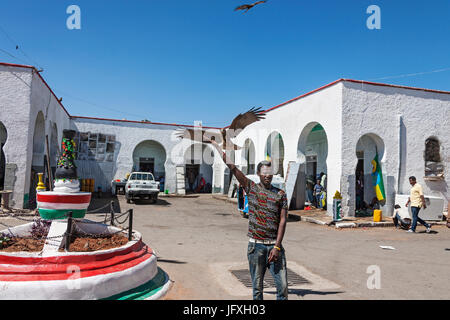 Eagle landing on hand of young man with built structure and semi-truck in background against clear sky Stock Photo