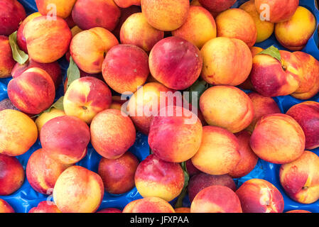 Nectarines for sale at a market in Palermo, Sicily Stock Photo