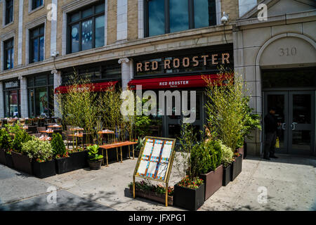 Red Rooster Restaurant in Harlem, a neighborhood in Manhattan New York Stock Photo