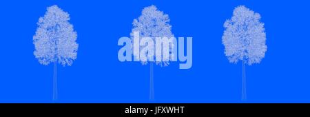 3d rendering of three trees as lines on a blue background
