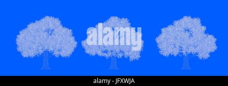 3d rendering of three trees as lines on a blue background