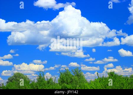 Cumulus clouds on blue sky over green forest Stock Photo