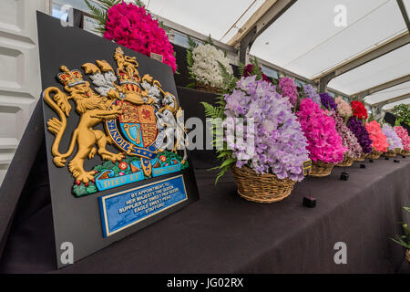 Hampton Court Palace, London, UK. 02nd July, 2017. Eagle Sweet Peas by royal appointment - Preparations for the Hampton Court Flower Show, organised by teh Royal Horticultural Society (RHS). In the grounds of the Hampton Court Palace, London  02 July 2017 Credit: Guy Bell/Alamy Live News Stock Photo