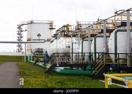 Izhevsk. 2nd June, 2017. Photo taken on June 2, 2017 shows a plant of the Udmurtia Petroleum Corp project in Udmurtia, a republic in western Russia. On the vast east European plain 1,200 km east of Moscow, lines of pumping machines stand on the green grassland. It is the location of Udmurtia Petroleum Corp (UDM), an energy joint venture between Russia and China. The UDM was bought out by China Petroleum and Chemical Corp., also known as Sinopec, and Russian oil giant Rosneft in August 2006. Credit: Bai Xueqi/Xinhua/Alamy Live News Stock Photo