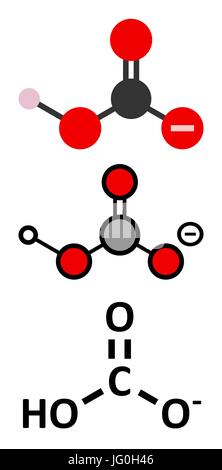 Bicarbonate anion, chemical structure. Common salts include sodium bicarbonate (baking soda) and ammonium bicarbonate. Conventional skeletal formula a Stock Vector