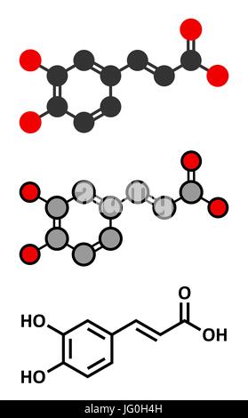 Caffeic acid molecule. Intermediate in the biosynthesis of lignin. Conventional skeletal formula and stylized representations. Stock Vector