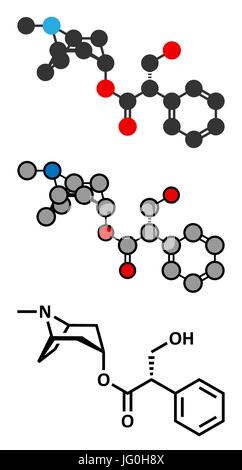 Hyoscyamine alkaloid molecule. Herbal sources include henbane, mandrake, jimsonweed, deadly nightshade and tomato. Conventional skeletal formula and s Stock Vector