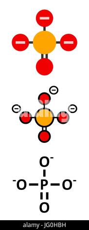 Phosphate anion, chemical structure. Conventional skeletal formula and stylized representations. Stock Vector