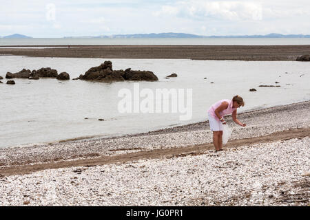 Senior woman collecting shells on a stony beach on the Coromandel Peninsula, North Island, New Zealand Stock Photo