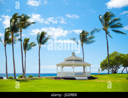 A view of the gazebo, breezy coconut palm trees, and Pacific Ocean at Turtle Pointe at the Fairmont Orchid on the Kohala Coast, Hawaii (Hawai'i). Stock Photo