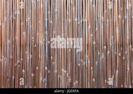 Background of dry bamboo vertical Stock Photo