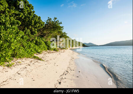 White sandy beach, Oarsman Bay, Yasawas, Fiji, South Pacific Stock Photo