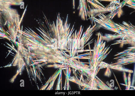 microscopic shot showing spiny microcrystal clusters under polarized light in black back Stock Photo