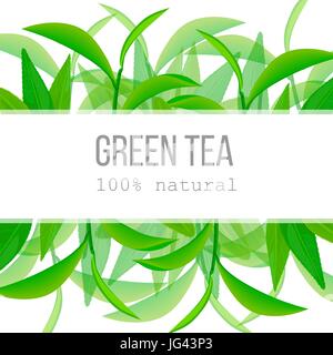 Green tea leaves and twig label with text 100 percent natural. Horizontal. fruits above and below. Concept idea for logo, tag, banner, advertising, pr Stock Vector