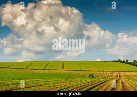Tractor plowing a field, Limagne, Puy de Dome, Auvergne, France, Europe Stock Photo