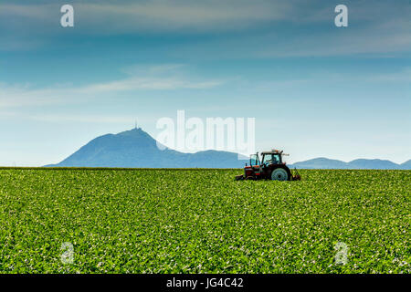 Tractor plowing a field, Limagne, Puy de Dome volcano in background, Auvergne Rhone Alpes,France Stock Photo