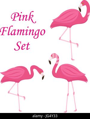 Pink flamingo set of objects. Isolated on white background. Vector illustration. Stock Vector