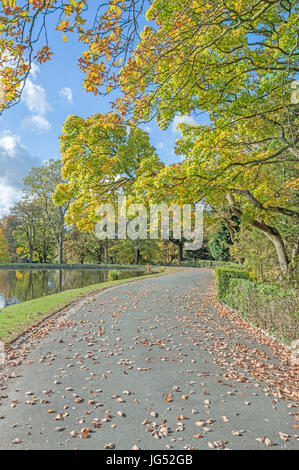 Autumn leaves on the ground is a sign that winter is on its way Stock Photo