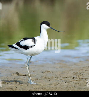 Marshside Southport Stock Photo